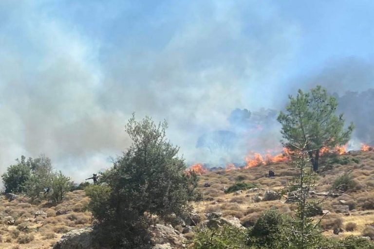 Λέσβος: Φωτιά στον Πετσοφά – Δίπλα στο μεγάλο δάσος
