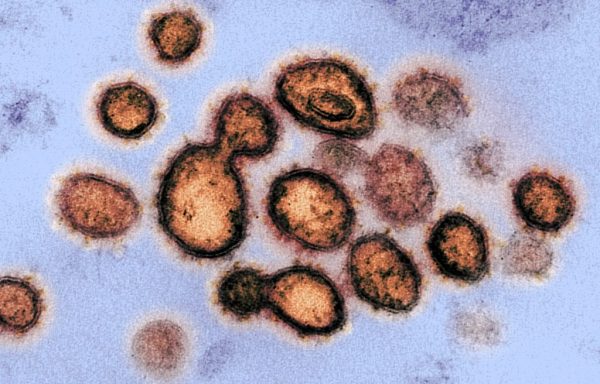 Κοροναϊός: Ιδιαίτερα σημαντικός φέτος ο εμβολιασμός κατά της γρίπης