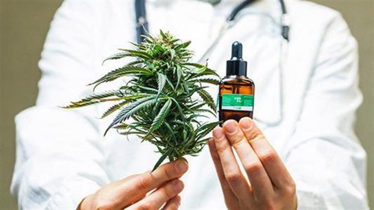 Γεωργιάδης: Σε λίγα χρόνια η φαρμακευτική κάνναβη θα φέρνει στην Ελλάδα δισεκατομμύρια σε εξαγωγές