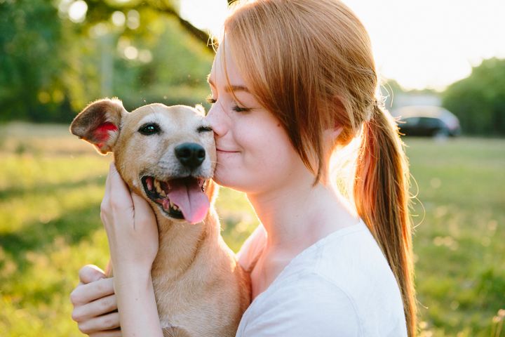 Σκύλοι: Κλαίνε από χαρά όταν βλέπουν τα αφεντικά τους – Τι δείχνει νέα έρευνα