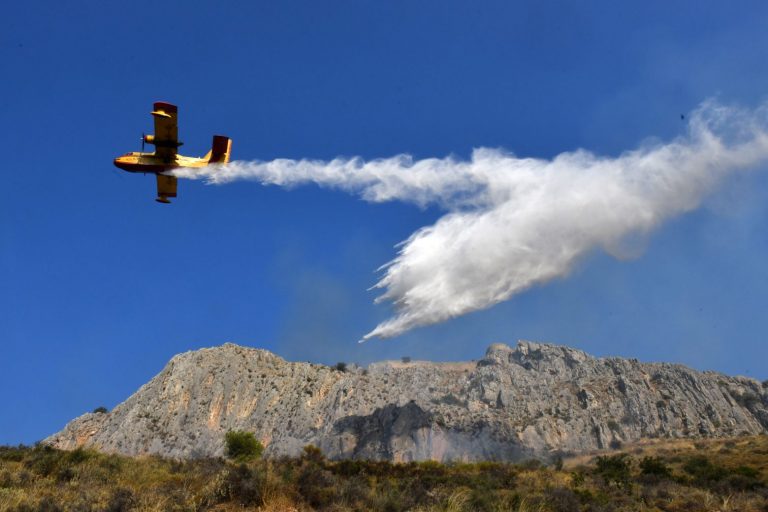 Μεσσηνία: Φωτιά σε δασική έκταση στο Αλιμάκι Τριφυλίας