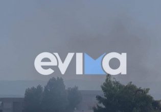 Φωτιά στη Χαλκίδα – Καίει κοντά σε σχολείο