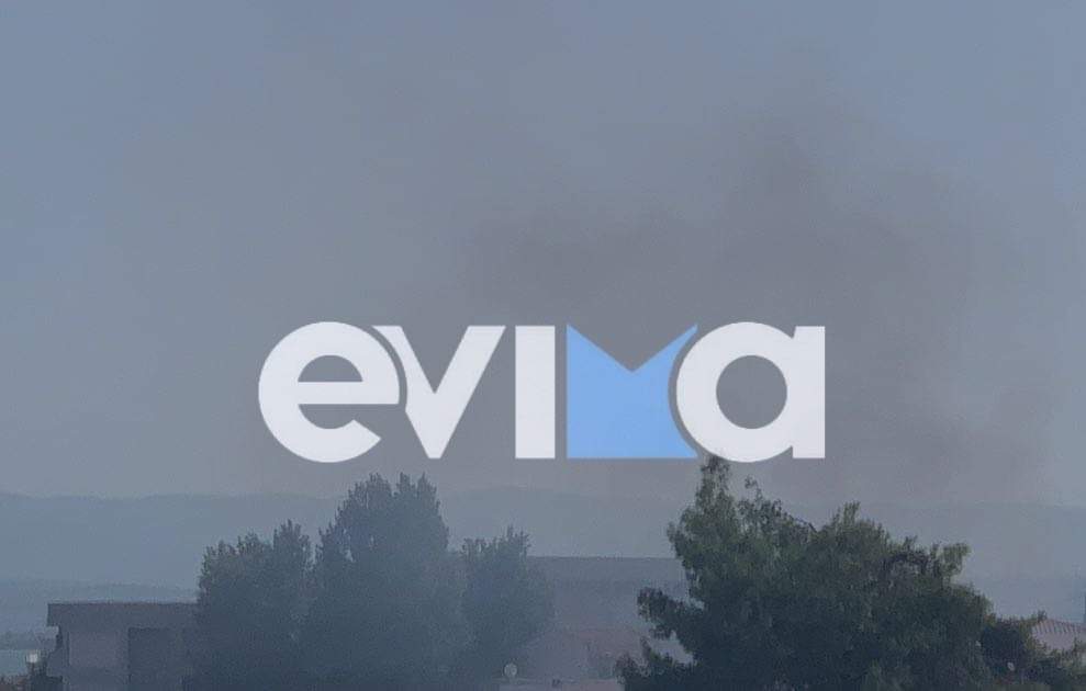 Φωτιά στη Χαλκίδα - Καίει κοντά σε σχολείο