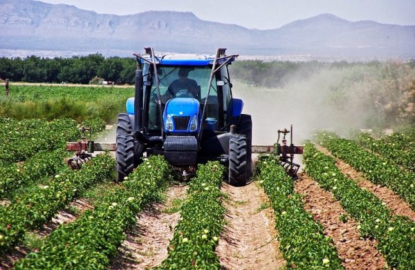 Αγροτική φορολογία: Στο ΦΕΚ η μείωση φόρου κατά 50% για συνεταιρισμένους αγρότες