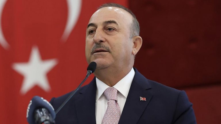 Cavusoglu: Turkey will land on Greek territory whenever it chooses, continues Erdogan’s threats of war
