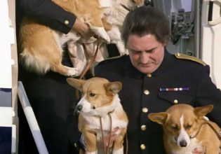 Βασίλισσα: Ποιος θα φροντίζει τα τέσσερα σκυλάκια τα οποία υπεραγαπούσε η Ελισάβετ