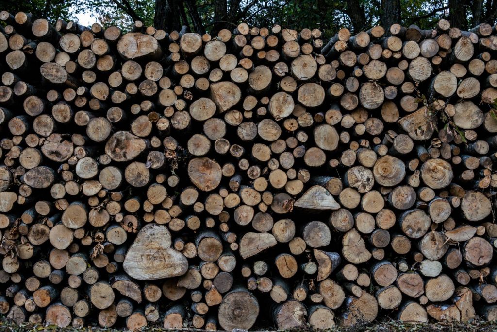 Γεωργιάδης: Θα προχωρήσουμε άμεσα σε παρέμβαση στην τιμή καυσόξυλου και πέλετ