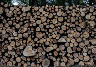 Γεωργιάδης: Θα προχωρήσουμε άμεσα σε παρέμβαση στην τιμή καυσόξυλου και πέλετ