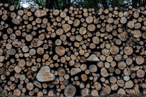 Γεωργιάδης: Θα προχωρήσουμε άμεσα σε παρέμβαση στην τιμή καυσόξυλου και πέλετ