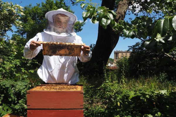 Βρετανία: Ο μελισσοκόμος του Παλατιού ενημέρωσε τις μέλισσες ότι πέθανε η βασίλισσα Ελισάβετ