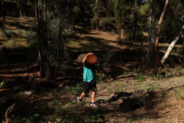 Ενεργειακή κρίση: Οι Ευρωπαίοι στο… «κυνήγι» των καυσόξυλων