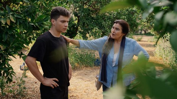 «Γη της Ελιάς»: Ανατρεπτικό και με συγκλονιστικές εξελίξεις το αποψινό επεισόδιο