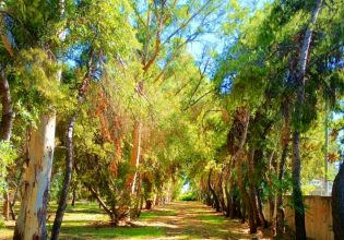 To πρώτο φεστιβάλ οικοπολιτισμού στην Ελευσίνα, μια γιορτή για το περιβάλλον