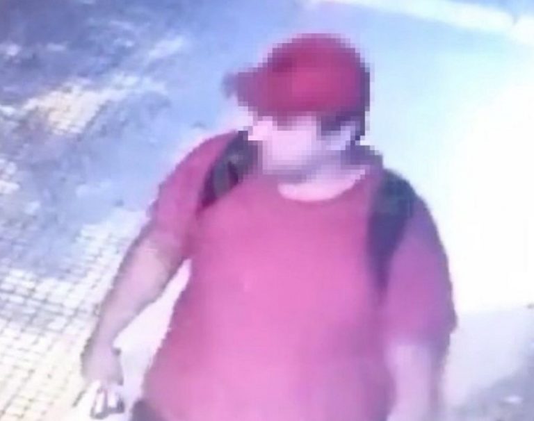 Θεσσαλονίκη: Ταυτοποιήθηκε ο άνδρας που πάτησε μέχρι θανάτου το γατάκι