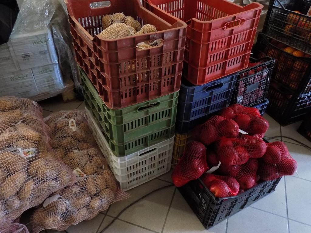 Τρόφιμα μοιράστηκαν σε 2.877 άτομα στο Δήμο Φυλής