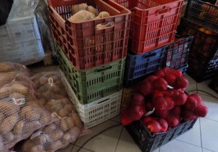 Τρόφιμα μοιράστηκαν σε 2.877 άτομα στο Δήμο Φυλής