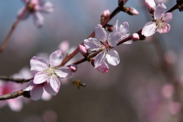 Φθινοπωρινή ισημερία: Αρχίζει και τυπικά το φθινόπωρο την Παρασκευή