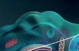 Αντικαρκινικό φάρμακο σταματά την εξάπλωση ιών