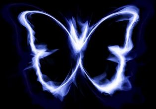 Τι είναι το «φαινόμενο της πεταλούδας»: Μπορεί, τελικά, μια πεταλούδα να προκαλέσει τυφώνα;