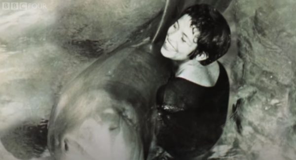 «Το δελφίνι που με αγάπησε»: Tο χρηματοδοτούμενο πείραμα της NASA που πήγε στραβά