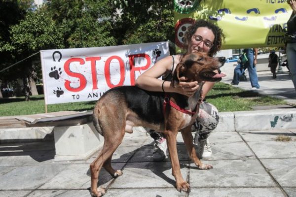 Συγκέντρωση διαμαρτυρίας κατά της κακοποίησης των ζώων στο Σύνταγμα