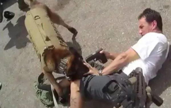 ΗΠΑ: Αστυνομικοί σκοτώνουν άνδρα που σημαδεύει το κεφάλι αστυνομικού σκύλου