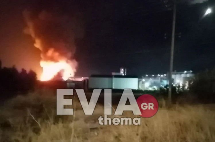 Εύβοια: Μεγάλη φωτιά σε εργοστάσιο στα Ψαχνά