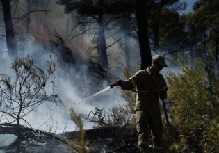 Φωτιά στο Μαρκόπουλο – Επιχειρούν πυροσβεστικές δυνάμεις