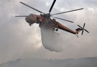 Φωτιά στη Μάνη: Συναγερμός στην Πυροσβεστική