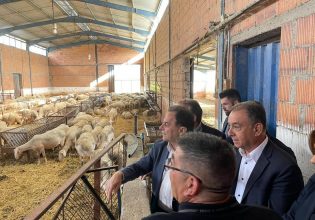 Γεωργαντάς: Πώς θα δοθεί η ενίσχυση στους κτηνοτρόφους