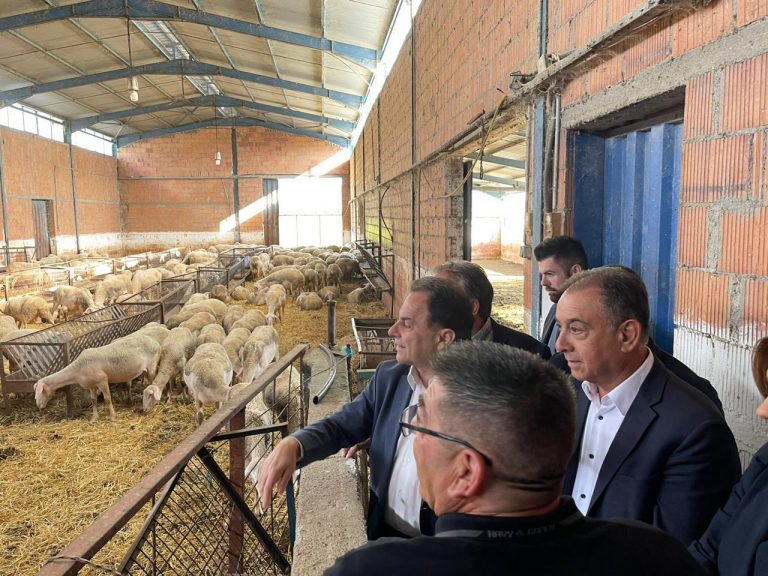 Γεωργαντάς: Πώς θα δοθεί η ενίσχυση στους κτηνοτρόφους