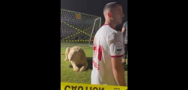 Ο Μανωλάς φωτογραφήθηκε με λιοντάρι και… τα είδε όλα (Vid)