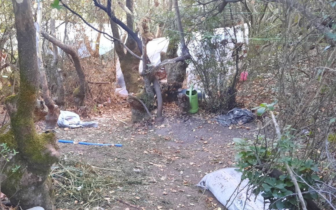 Κρήτη: Είχαν κρεμάσει κομποσκοίνια σε χασισοφυτεία