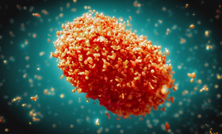 Ασυμπτωματική ή με ανεπαίσθητα συμπτώματα η ευλογιά των πιθήκων