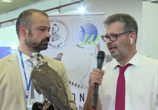 Ο ΟΤ στη ΔΕΘ: Τα γεράκια κλέβουν την παράσταση στο περίπτερο των ΗΑΕ