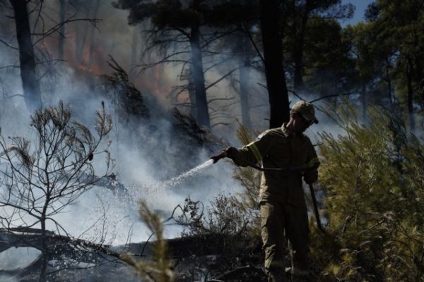 Αιγιάλεια: Φωτιά σε εξέλιξη στην περιοχή Αρραβωνίτσα