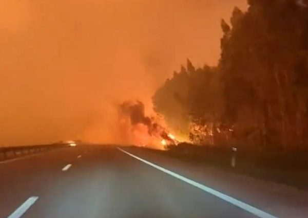 Δασικές πυρκαγιές: Σύνοδος υπουργών της ΕΕ – Θα γίνει απολογισμός της λειτουργίας του UCPM