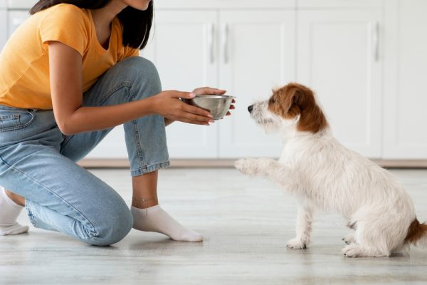 Διατροφή: Ο νούμερο 1 σύμμαχος για την υγεία του σκύλου μας