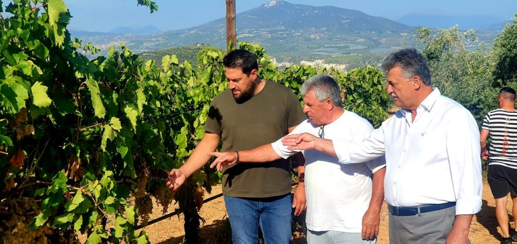 Σε αμπελώνες παραγωγών που έχουν καταστραφεί βρέθηκε ο Δήμαρχος Κορινθίων