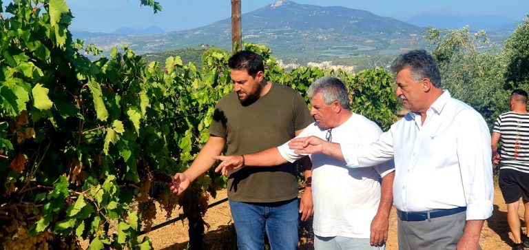 Σε αμπελώνες παραγωγών που έχουν καταστραφεί βρέθηκε ο Δήμαρχος Κορινθίων