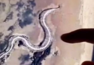 Σάλος με τεράστιο σκελετό φιδιού που εμφανίστηκε στο Google Maps