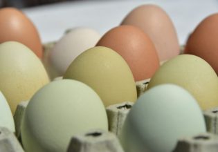 Καλάθι του νοικοκυριού: Τι είναι τα αυγά κλωβοστοιχίας που βρίσκονται στη λίστα
