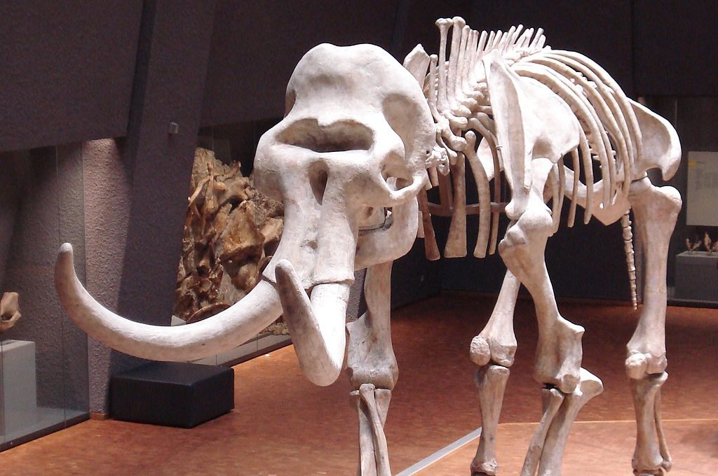 Η CIA χρηματοδοτεί την ανάσταση του τριχωτού μαμούθ