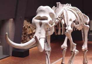 Η CIA χρηματοδοτεί την ανάσταση του τριχωτού μαμούθ