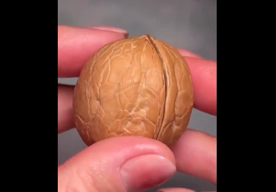 Ξυλογλυπτική: Τι μπορεί να «χωρέσει» μέσα σε ένα καρύδι