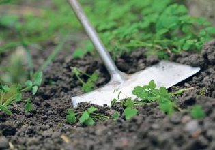 ΕΕ: Ποιες είναι οι πράσινες επιπτώσεις της ΚΑΠ