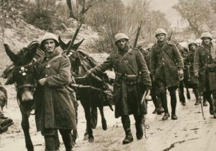 28η Οκτωβρίου: Οι αφανείς ήρωες του 1940 – Μουλάρια και άλογα από την Κρήτη στον πόλεμο