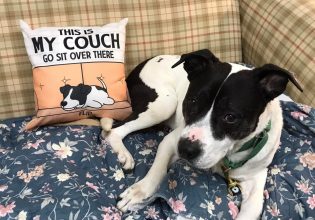 Έμενε σε καταφύγιο αδέσποτων, όμως μετά από 5 χρόνια βρήκε μια οικογένεια