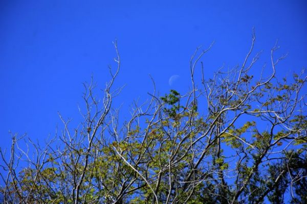 Αίθριος ο καιρός τη Δευτέρα – Στους 24 με 26 βαθμούς η θερμοκρασία