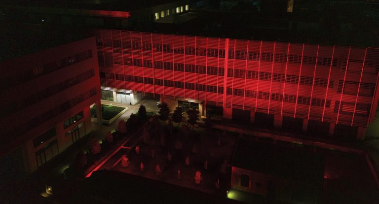 Έλεγχος στα οστά μετά τα 50 για πρόληψη καταγμάτων